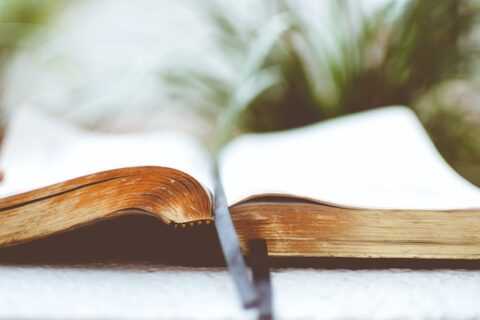 Bible