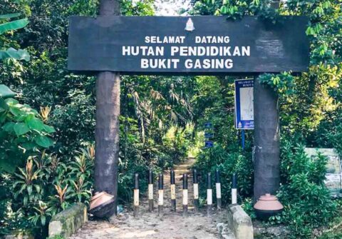 Bukit Gasing (image via Happy Go KL)